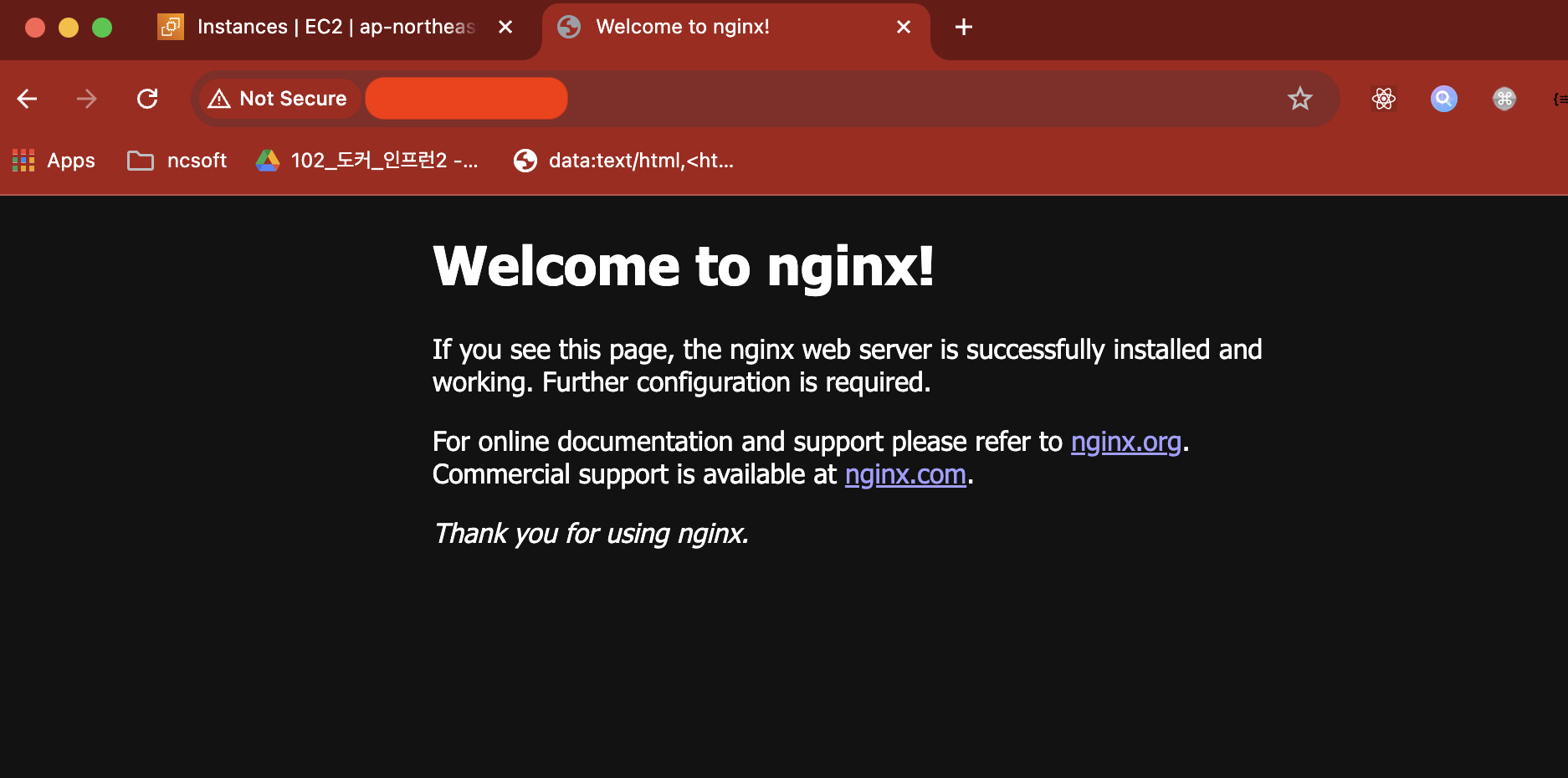Nginx Page
