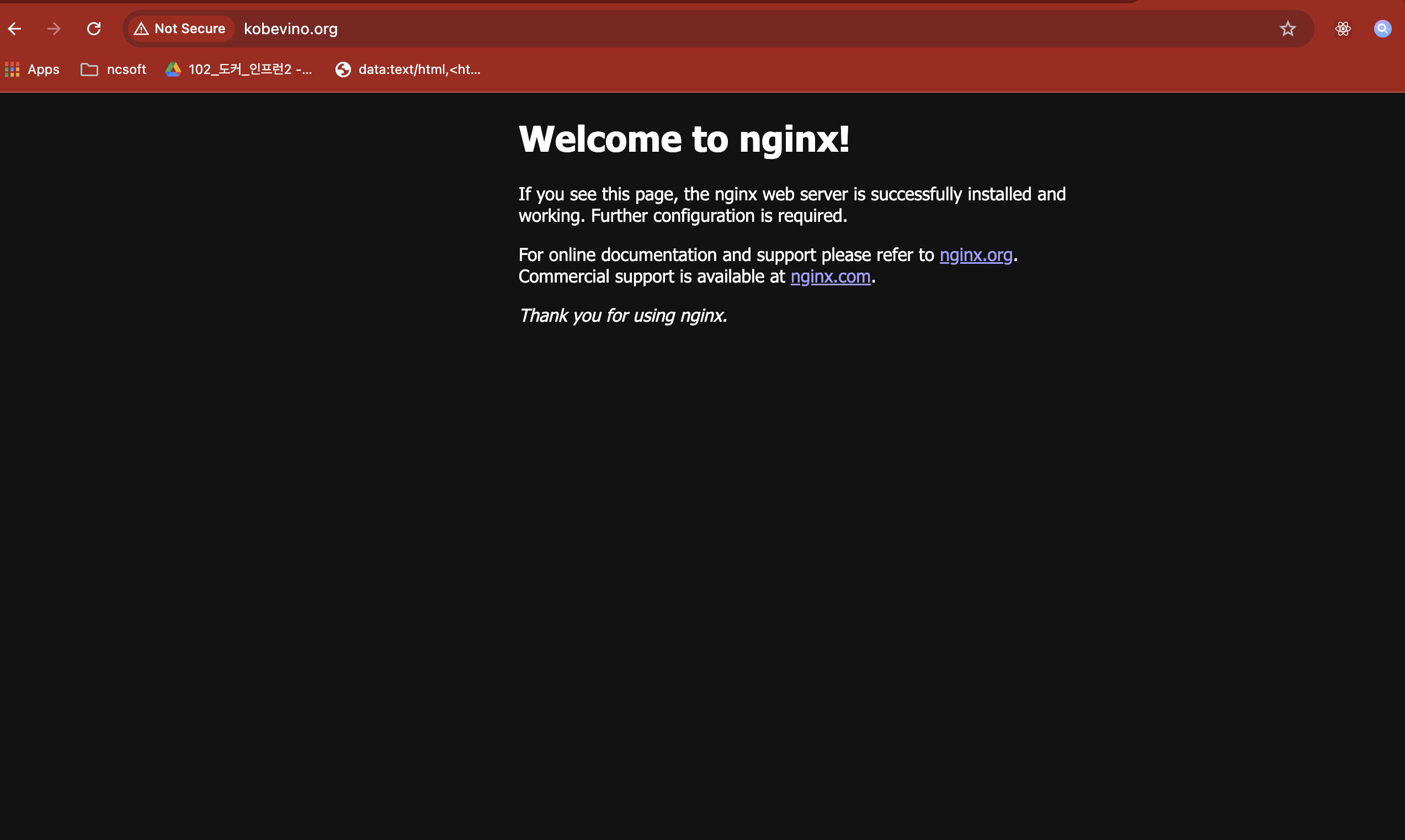 nginx domain