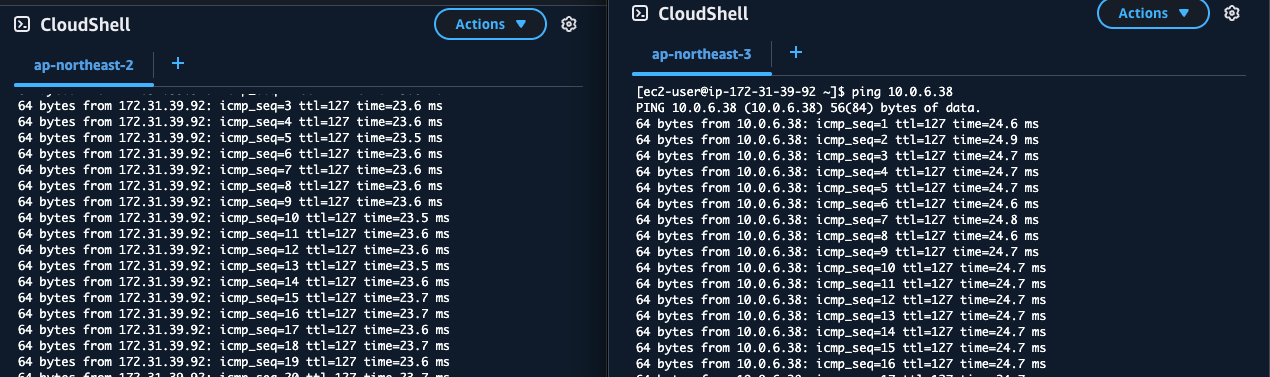 Ping Success